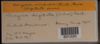 Image Associated With the Occurence
